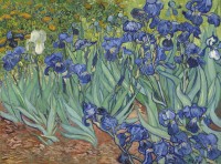 vincent-van-gogh-1889-jigsaw-puzzle-500-pieces.95786-1.fs.jpg