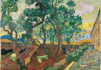 van-gogh-le-parc-de-lhopital-1889-jigsaw-puzzle-1000-pieces.94183-1.fs.jpg