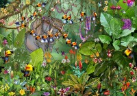 francois-ruyer-jungle-jigsaw-puzzle-1000-pieces.95209-1.fs.jpg