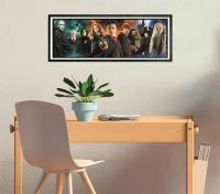 clementoni-puzzle-panorama-1000el-compact-harry (2).jpg