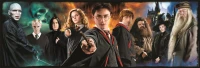 clementoni-puzzle-panorama-1000el-compact-harry (1).jpg