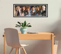clementoni-puzzle-panorama-1000el-compact-harry (5).jpg