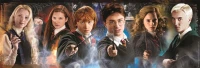 clementoni-puzzle-panorama-1000el-compact-harry (4).jpg