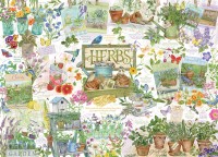pol_pl_Puzzle-1000-el-Poradnik-ziolowy-9865_2.jpg