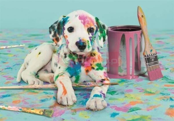 pol_pl_Puzzle-500-Compact-The-Funny-Dalmatian-486347_1.jpg