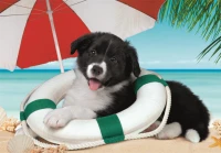 Sunny Beach.jpg