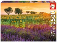 field-with-sunflowers-jigsaw-puzzle-1500-pieces_63858-2_fs.jpg