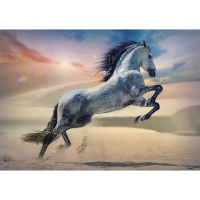 10790_150_02.png
