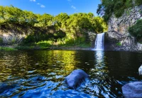 bluebird-puzzle-bassin-de-la-paix-la-reunion-france-jigsaw-puzzle-1000-pieces.95350-1.fs.jpg