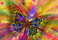bluebird-puzzle-colorful-butterfly-jigsaw-puzzle-1000-pieces.92349-1.fs.jpg
