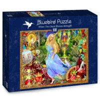 bluebird-puzzle-when-the-clock-strikes-midnight-jigsaw-puzzle-500-pieces_64699-2_fs.jpg