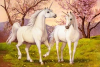 105236-2.webp.webp