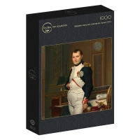 jacques-louis-david-the-emperor-napoleon-in-his-study-at-the-tuileries-1812-jigsaw-puzzle-1000-pieces.97281-2.fs.jpg