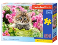 111039_box.webp.webp