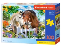 111121_box.webp.webp