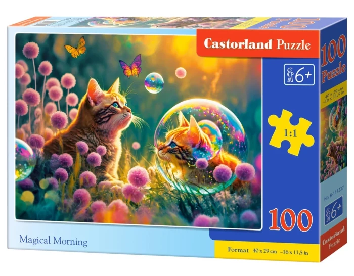 111237_box.webp.webp