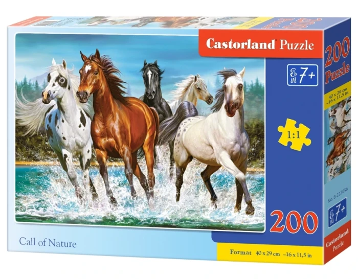 222056_box.webp.webp