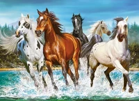 222056.webp.webp
