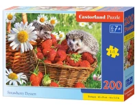 222025_box.webp.webp
