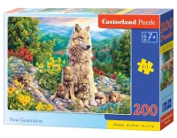 222087_box.webp.webp