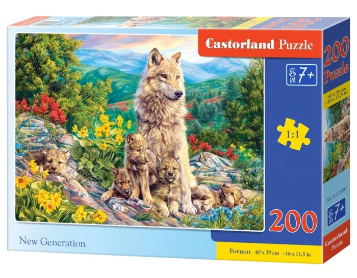 222087_box.webp.webp