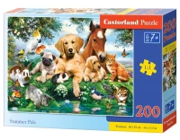 222063_box.webp.webp