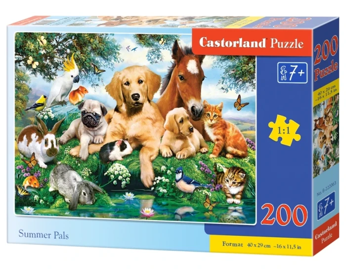 222063_box.webp.webp