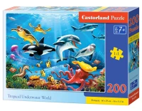 222094_box.webp.webp