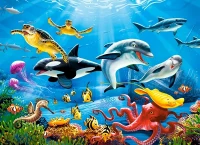 222094.webp.webp