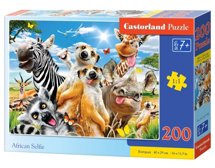 222148_box.webp.webp