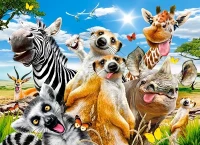 222148.webp.webp