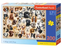 222162_box.webp.webp