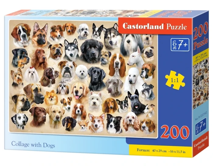 222162_box.webp.webp