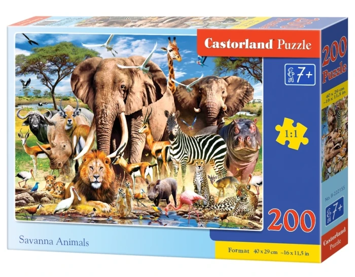 222155_box.webp.webp