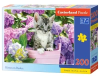 222209_box.webp.webp