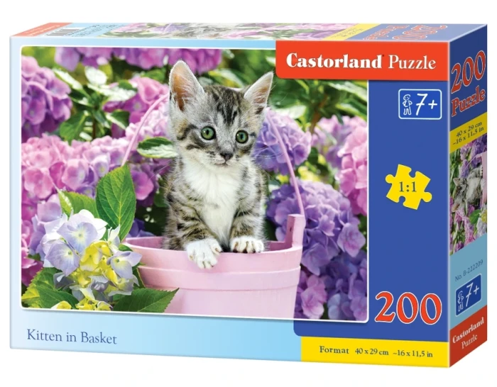 222209_box.webp.webp