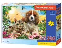 222247_box.webp.webp