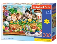 222278_box.webp.webp