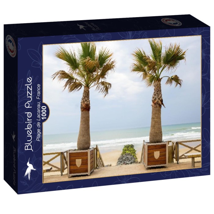 bluebird-puzzle-plage-de-lacanau-france-jigsaw-puzzle-1000-pieces.95355-2.fs.jpg