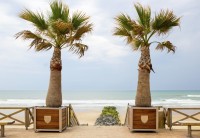 bluebird-puzzle-plage-de-lacanau-france-jigsaw-puzzle-1000-pieces.95355-1.fs.jpg