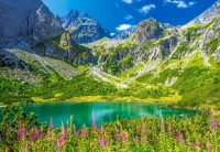 105267-2.webp.webp