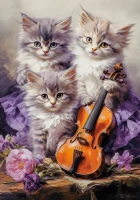 53988.webp.webp