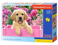 030071_box.webp.webp