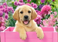 030071.webp.webp