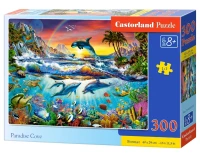 030101_box.webp.webp