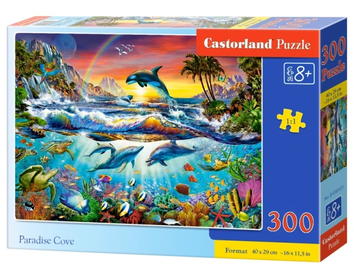 030101_box.webp.webp