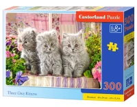 030330_box.webp.webp