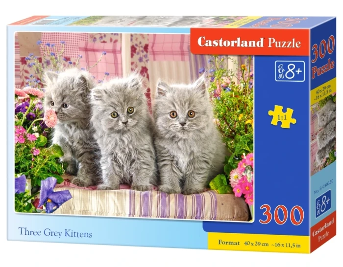 030330_box.webp.webp