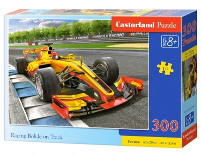 Castorland 300 - Racing Bolide on Track