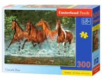 030361_box.webp.webp